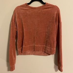 Forever 21 Velvet Sweatshirt